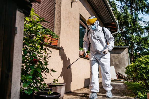 Professional Pest Control in Fairview, TX