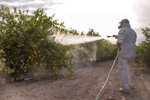 Pest Prevention Services in Fairview, TX