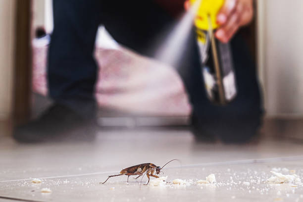 Best Commercial Pest Control Services  in Fairview, TX