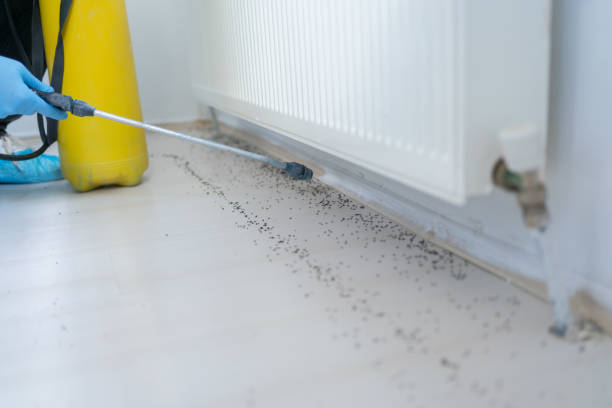 Best Cockroach Control Services  in Fairview, TX